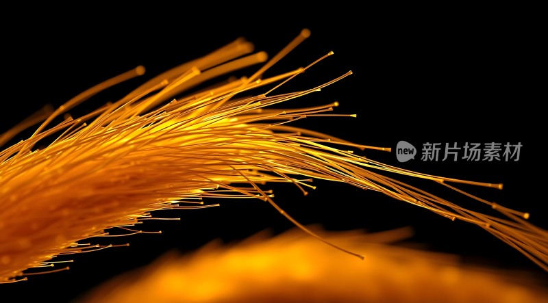 光纤世界探索无限可能