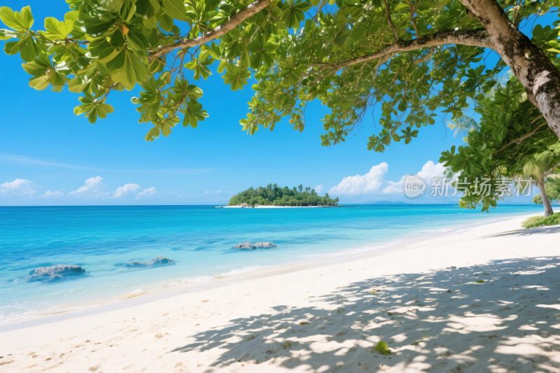 热带海滩风景插画