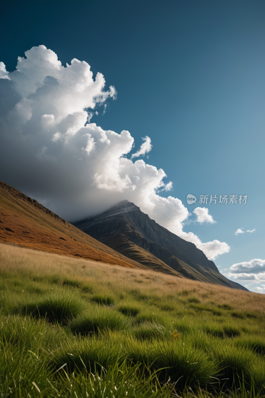 一片草地高清风景摄影图片