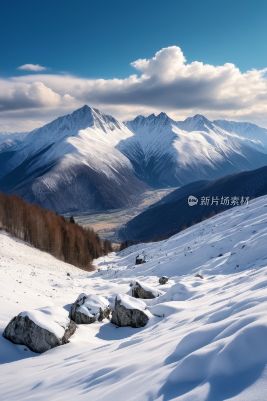 山上积雪树木和岩石稀少高清风景图片