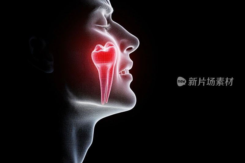 人体牙齿部位高亮医学示意图