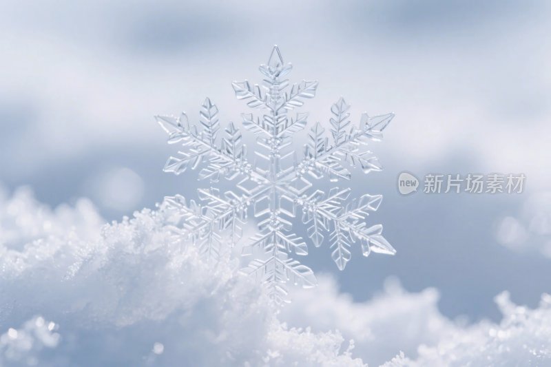 雪花特写冰雪场景