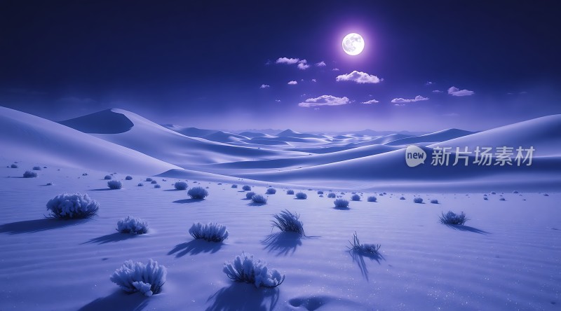 月下雪原静谧而神秘