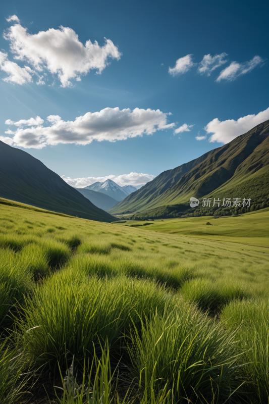 一片草地山脉高清风景摄影图片