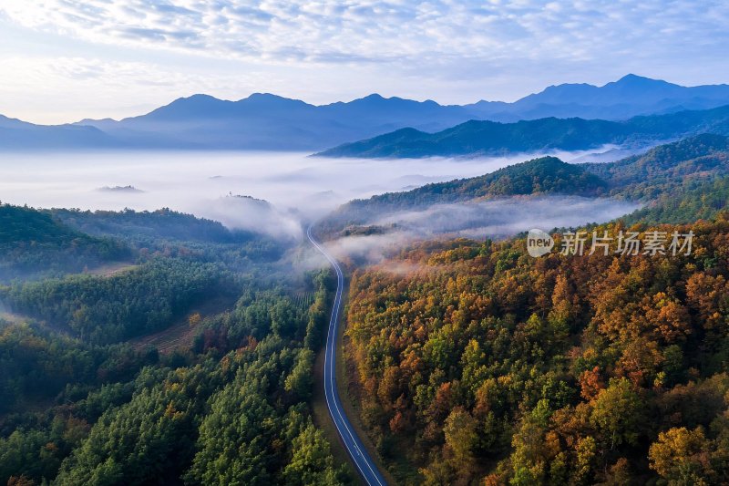 山间公路秋日晨景