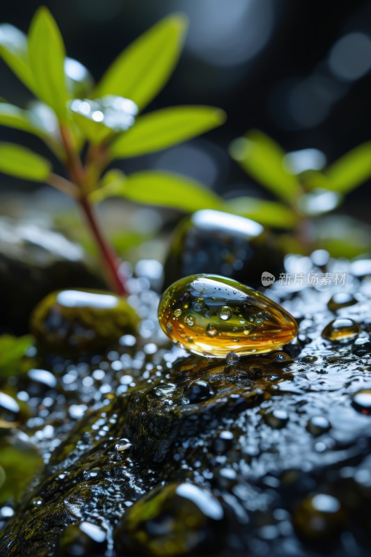 岩石顶部一滴水特写高清风景图片