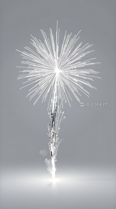 烟花绽放光芒四射
