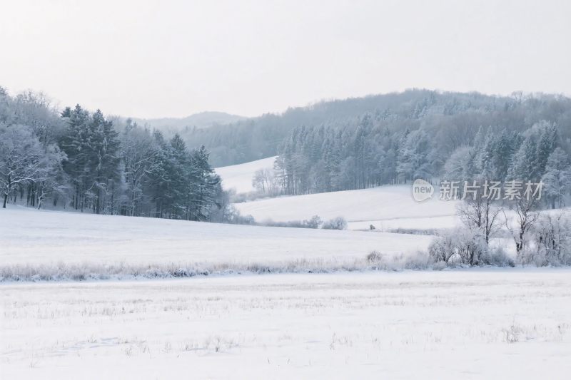 冬日雪景风景图