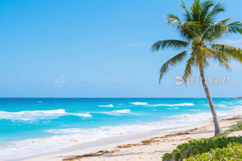 热带海滩风景插画