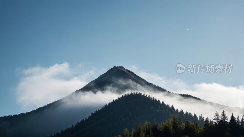 一座山有几棵树高清风景图片