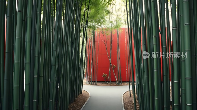 竹影斑驳映红墙