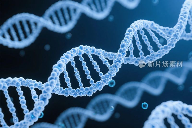 双螺旋结构示意