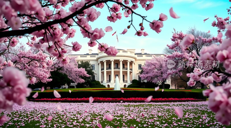 白宫春色满园