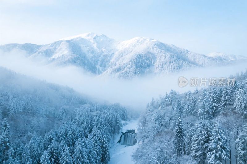 雪山森林雪景图