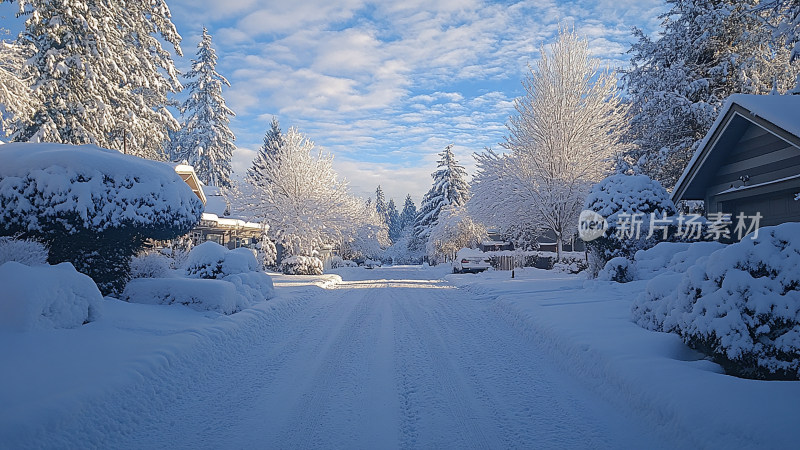 雪后清晨的宁静街道