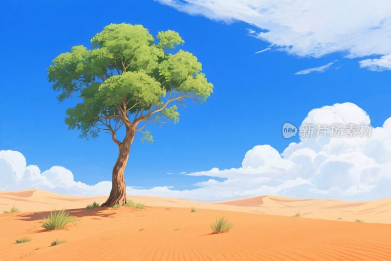 沙漠孤树风景插画