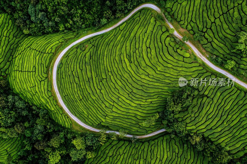 航拍山间蜿蜒公路与梯田