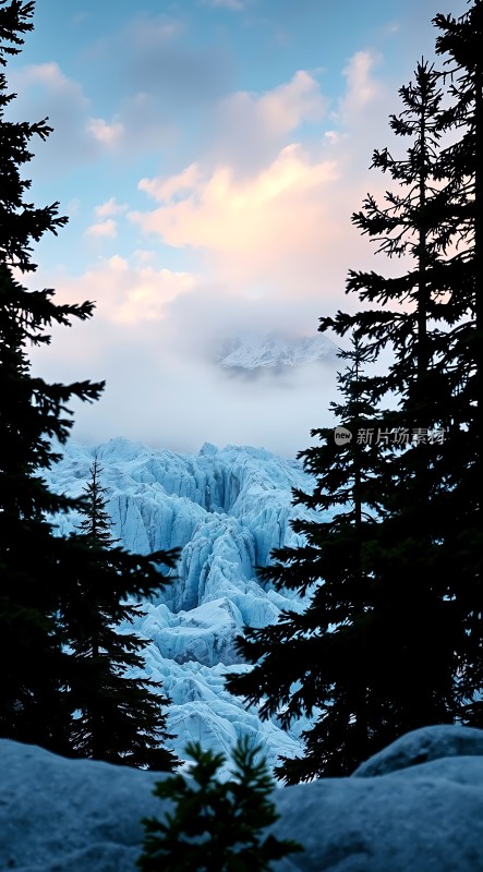 冰封雪原云雾缭绕松林环绕