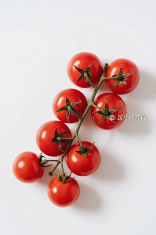 樱桃番茄静物图