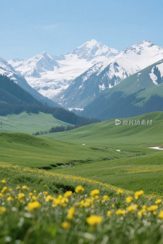 雪山草原自然风光