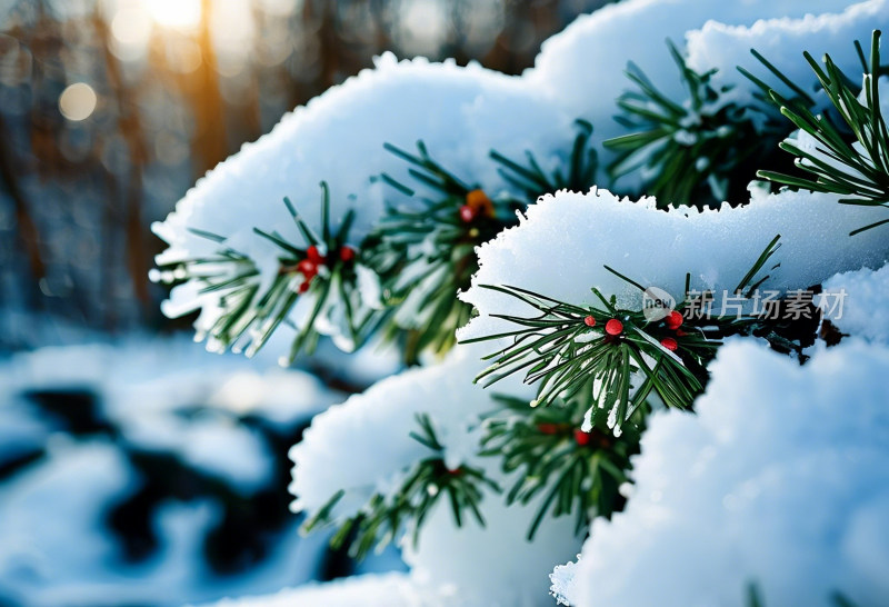 冬天冰雪天空自然风景