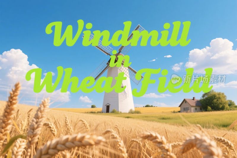 风车麦田风景插画