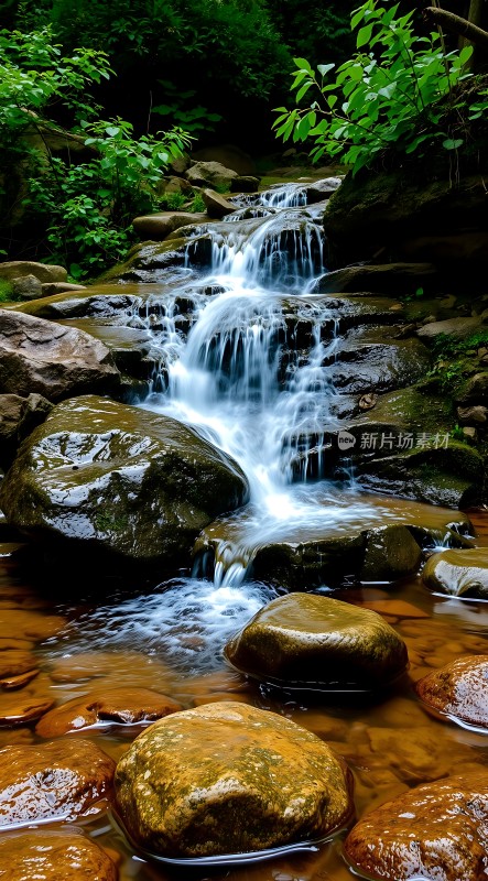 森林小溪瀑布