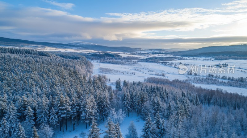 冬日户外雪景雾凇