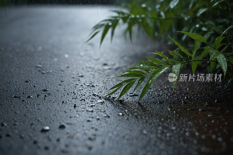 在潮湿的背景离开地面上有雨滴高清图片