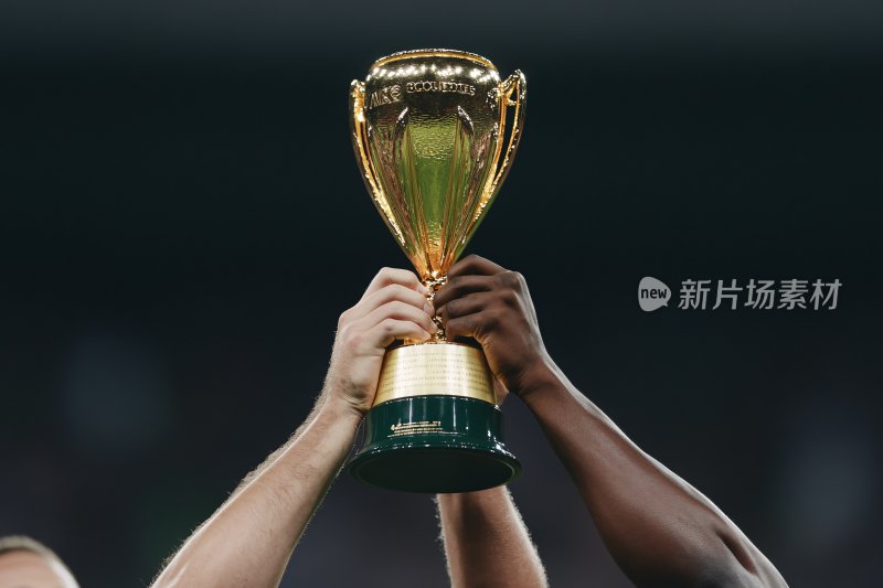 双手高举金色奖杯画面
