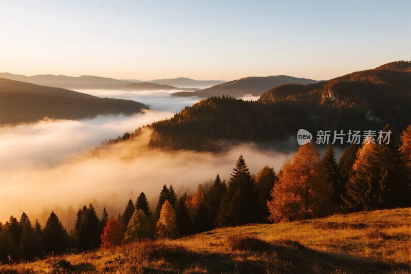 山林雾气风景图