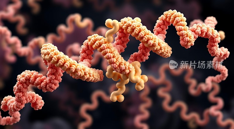 DNA螺旋结构之美