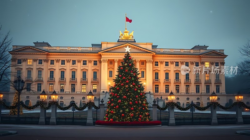 白宫前的圣诞树节日气氛浓厚