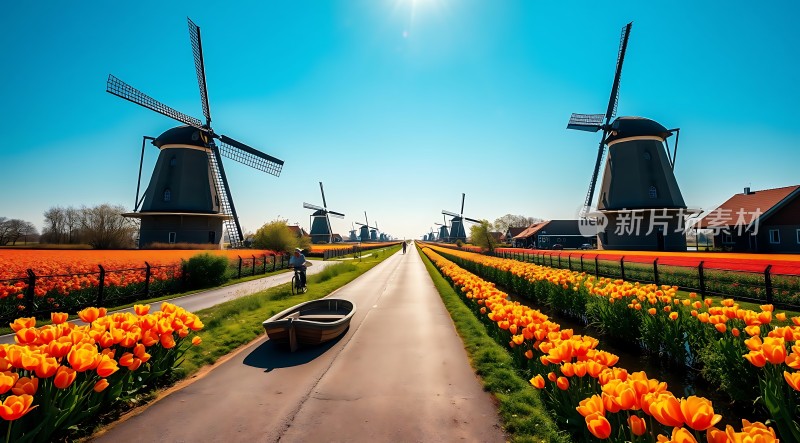 风车花海骑行之旅