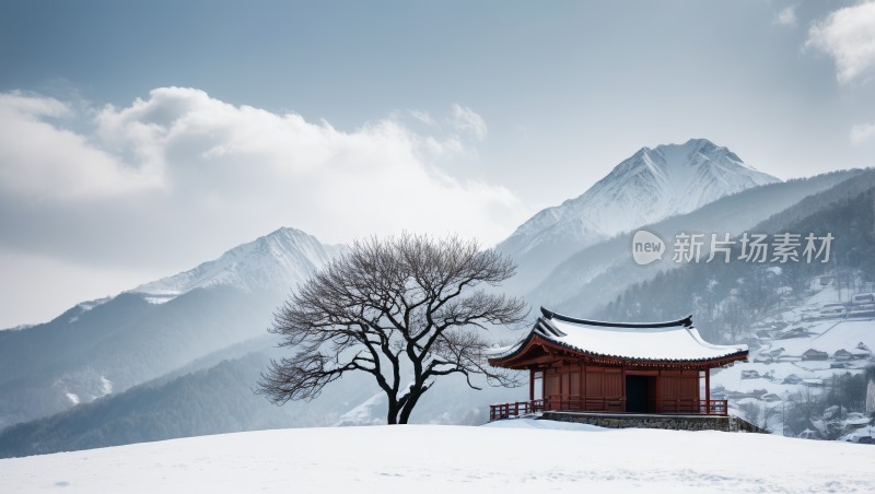 雪中的一棵树风景风光高清图片