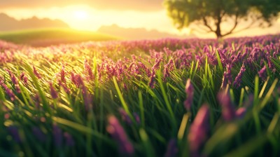 唯美梦幻花田场景 唯美梦幻花田场景
