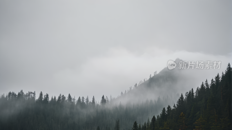 一座被雾气覆盖高山清风景图片