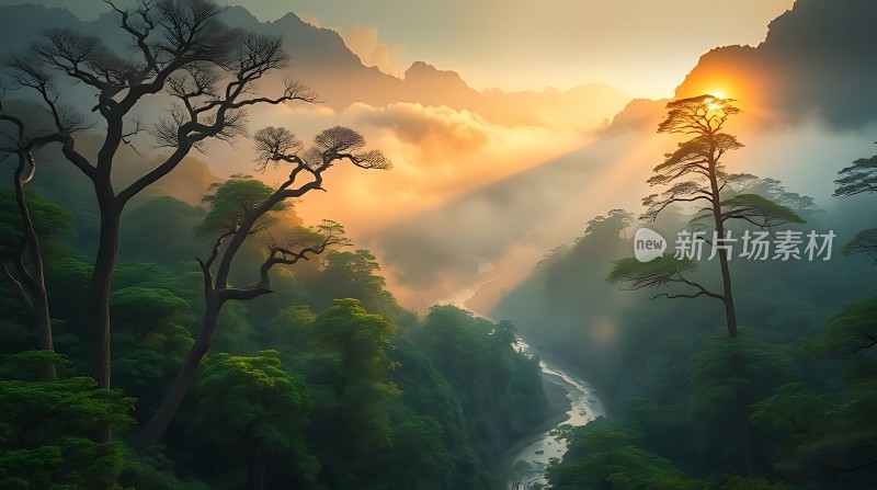 晨曦中的神秘山谷