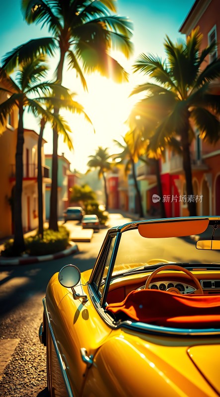 阳光下的热带风情之旅