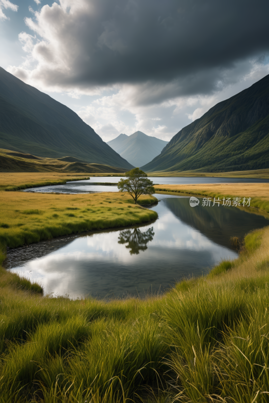 一片草地中央一棵小树高清风景图片