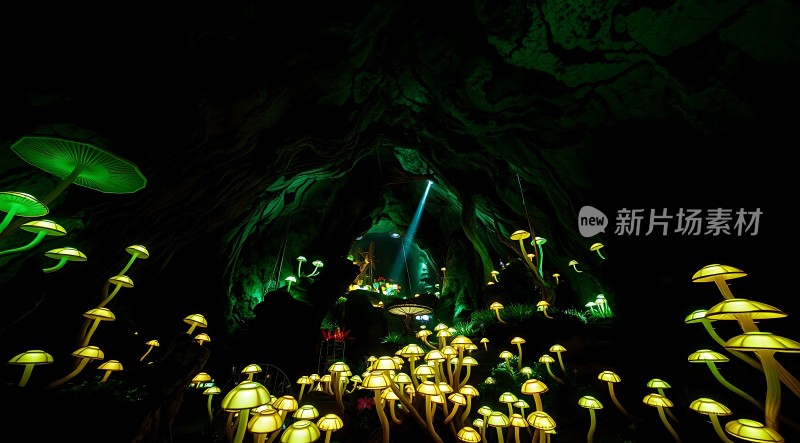 神秘洞穴中的奇幻蘑菇世界