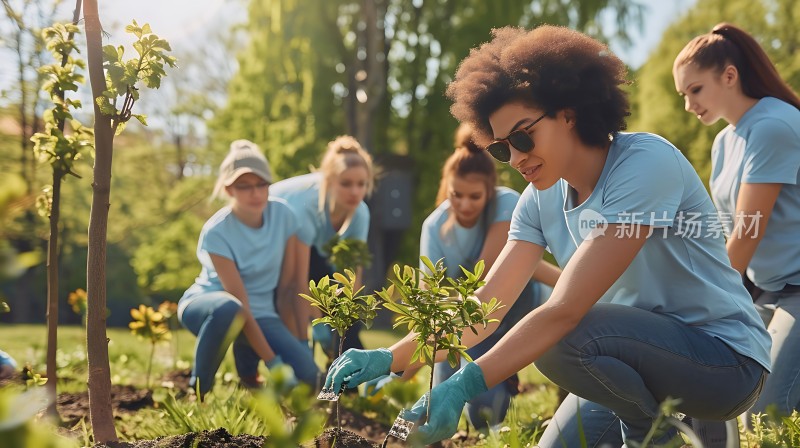 蓝天下的绿色行动志愿者合力种树共筑美好家园