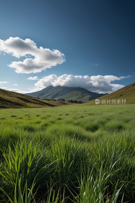 草地远处有山蓝天高清图片