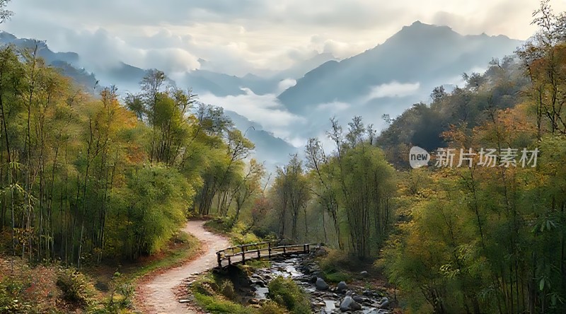 晨雾笼罩下的幽静山谷小径