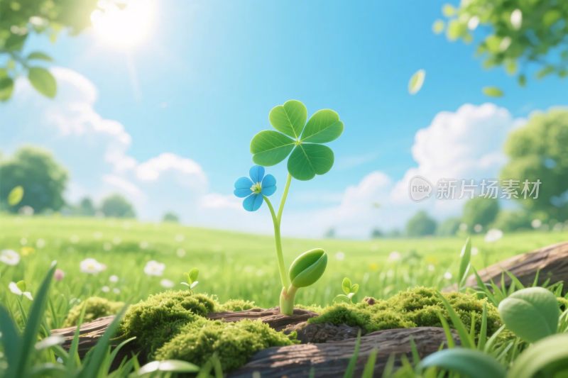 清新自然植物插画