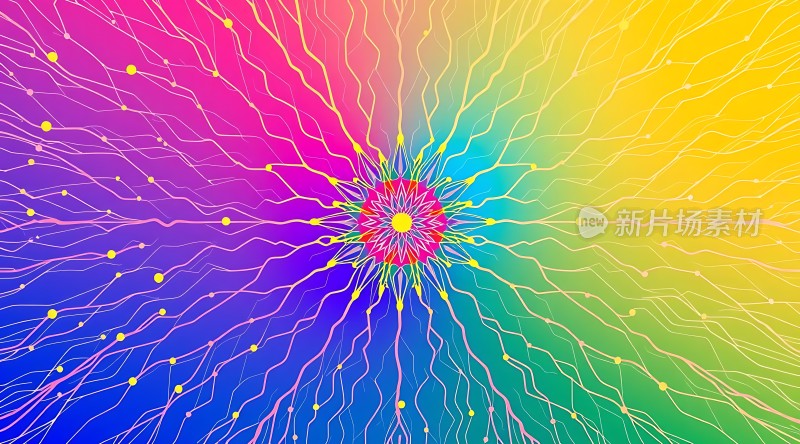 五彩斑斓的花朵绽放