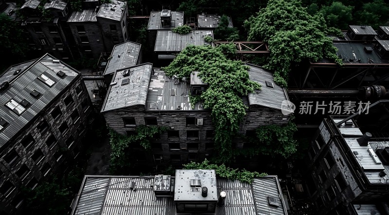 废弃建筑与绿色植物的对比之美