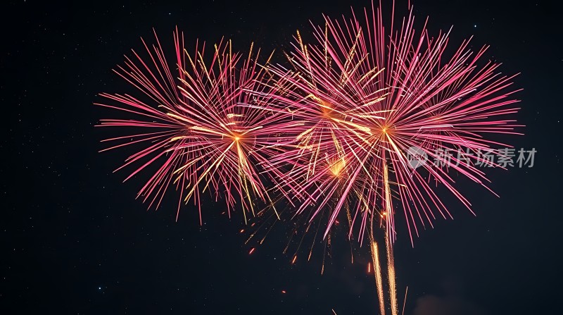 璀璨烟花夜空绽放