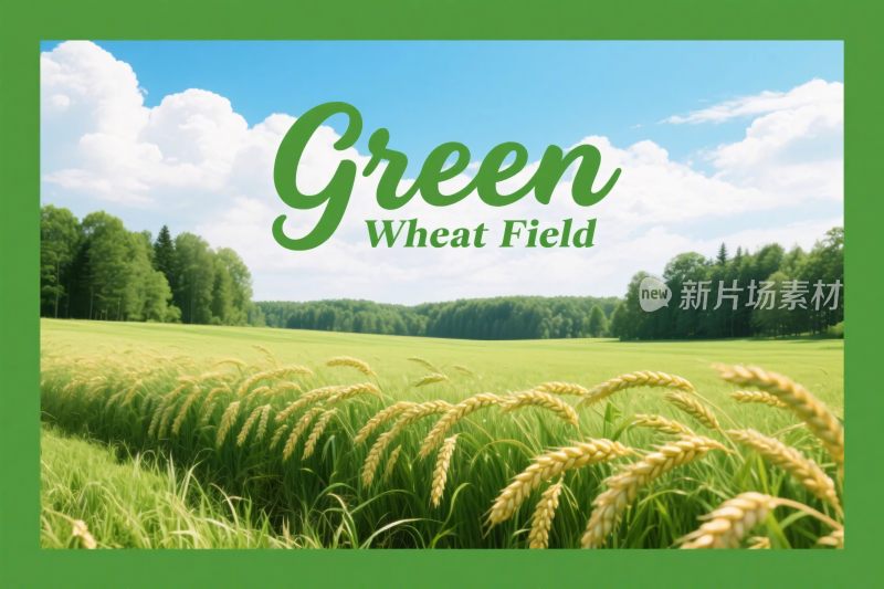 绿麦田风景插画