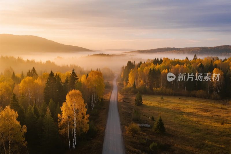 秋日林间公路美景